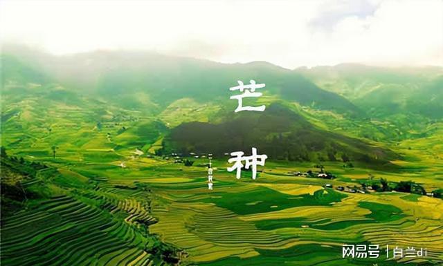 年一遇！4大特点提前知老农急呼早防备pg电子模拟器免费版2025芒种60(图6)