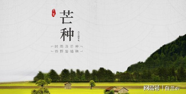 年一遇！4大特点提前知老农急呼早防备pg电子模拟器免费版2025芒种60(图2)