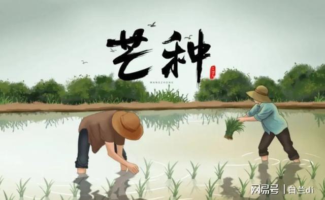 年一遇！4大特点提前知老农急呼早防备pg电子模拟器免费版2025芒种60(图4)