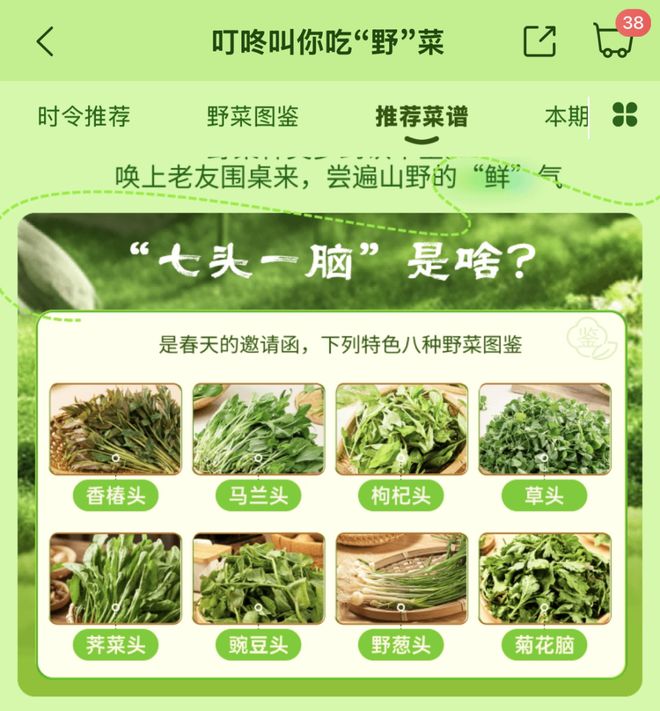 食同源、高原春菜等小众你吃过几样？pg电