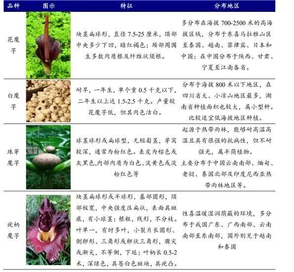 人一口一口吃出700%的暴涨神话pg电子中国贪吃又想减肥的打工(图5)